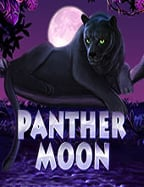 วิธีเล่น สล็อต ออนไลน์ 222pg soft download ที่คุณต้องรู้